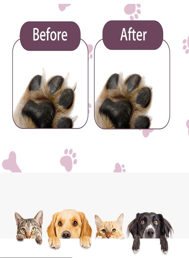 مبرد أظافر الكلاب، لوح خدش أظافر الكلاب، أداة للعناية بالحيوانات الأليفة مع 4 ألواح إصلاح، حل للعناية بأظافر الكلاب بدون إجهاد للاستخدام المنزلي، مثالي للكلاب التي تخاف من مقصات الأظافر التقليدية (أصفر) - Image 5