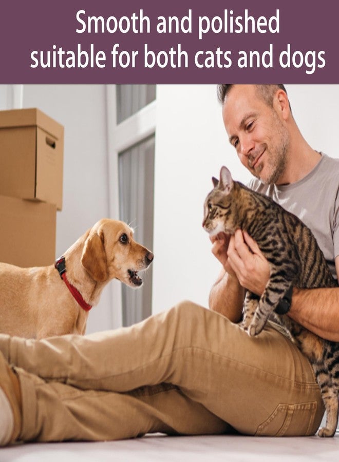 مبرد أظافر الكلاب، لوح خدش أظافر الكلاب، أداة للعناية بالحيوانات الأليفة مع 4 ألواح إصلاح، حل للعناية بأظافر الكلاب بدون إجهاد للاستخدام المنزلي، مثالي للكلاب التي تخاف من مقصات الأظافر التقليدية (أصفر) - Image 2