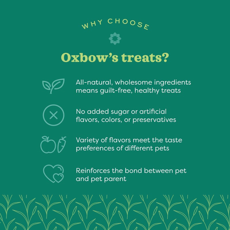Oxbow Simple Rewards Apple Banana Treats,Timothy Hay Guinea Pig & Bunny Treats,Pet Snack,Made Guinea Pig Hay,Made in USA,Timothy for Rabbit,3 oz Bag,(Pack of 2) - Image 2