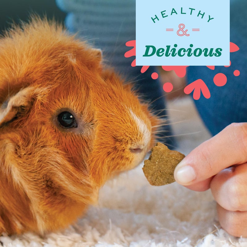 Oxbow Simple Rewards Apple Banana Treats,Timothy Hay Guinea Pig & Bunny Treats,Pet Snack,Made Guinea Pig Hay,Made in USA,Timothy for Rabbit,3 oz Bag,(Pack of 2) - Image 5