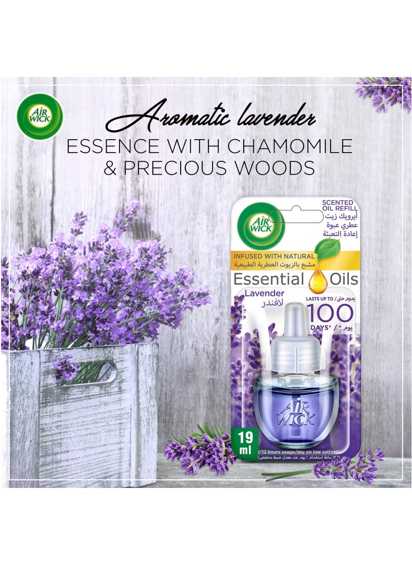 Air Wick Scented Oil Diffuser Refill Lavender Fragrance Pack of 2  - Image 4