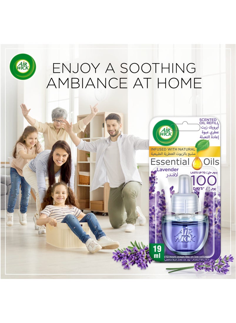 Air Wick Scented Oil Diffuser Refill Lavender Fragrance Pack of 2  - Image 5