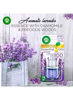 Air Wick Scented Oil Diffuser Refill Lavender Fragrance Pack of 2  - Image 5
