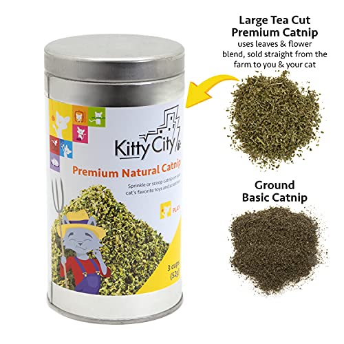 Kitty City Cat Premium Natural Catnip Collection, Catnip Tin - Image 2