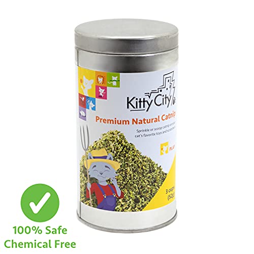 Kitty City Cat Premium Natural Catnip Collection, Catnip Tin - Image 4