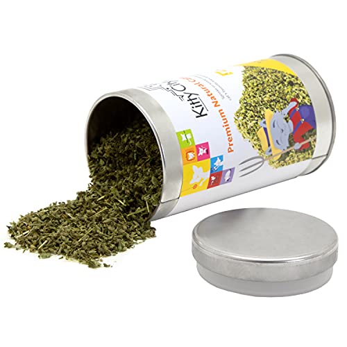 Kitty City Cat Premium Natural Catnip Collection, Catnip Tin - Image 3