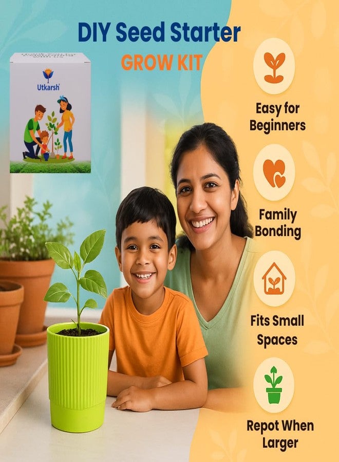 Utkarsh Okra Seed Starter DIY Grow Kit for Gifting | Best Eco-Friendly Return Gift Ideas for Kids & Beginners | Easy to Grow it Yourself Gardening Set for Home & Kitchen Garden | Pack of 1 - Image 4