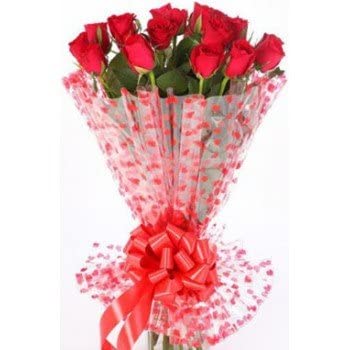 Floralbay Floralbay Red Roses Bouquet Fresh Flowers in Cellophane Wrapping Bunch of 20