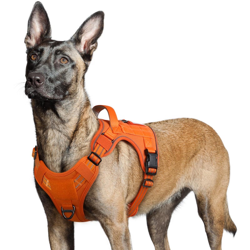 rabbitgoo Tactical Dog Harness for Large Dogs, No Pull Military Service Vest with Handle & Molle, Easy Control for Training Walking, Adjustable Reflective Straps, Orange, L - Image 1