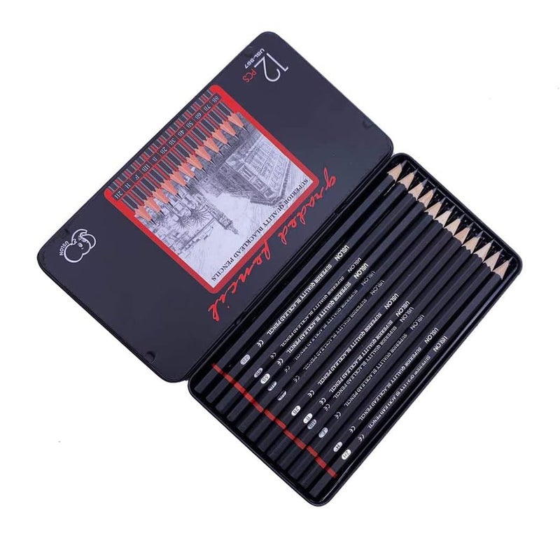 12pcs Artist Pencil for Sketching Drawing Shading Art Set for Beginners Pro with Metal Case