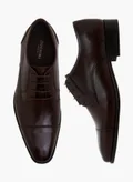 دوتشيني BROWN