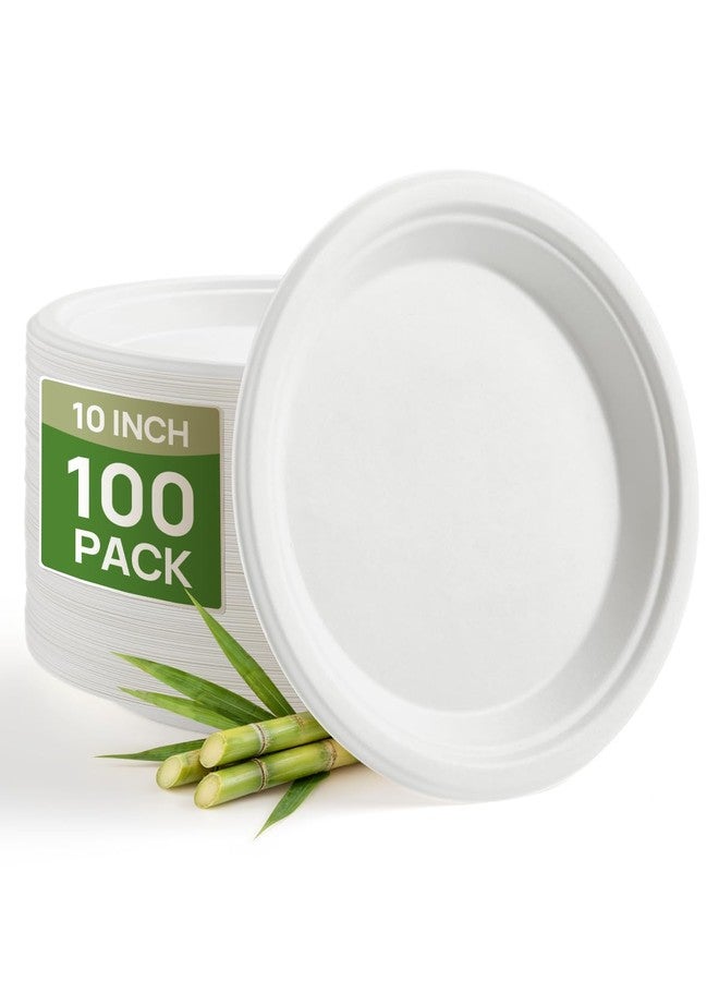 Goodluck 10 Inch White Compostable Paper Plates 100 Pack, 100% FSC Certified Heavy Duty Bagasse Plates, Eco Friendly Disposable Sugarcane Plates for Party, Wedding, BBQ, Catering & Everyday Use - Image 1