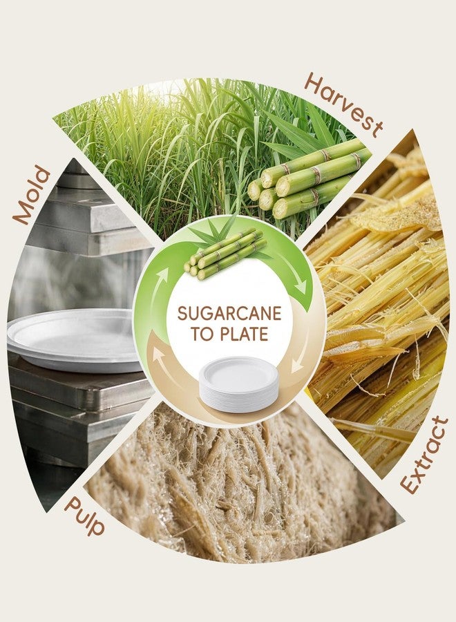 Goodluck 10 Inch White Compostable Paper Plates 100 Pack, 100% FSC Certified Heavy Duty Bagasse Plates, Eco Friendly Disposable Sugarcane Plates for Party, Wedding, BBQ, Catering & Everyday Use - Image 2