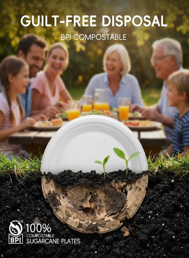 Goodluck 10 Inch White Compostable Paper Plates 100 Pack, 100% FSC Certified Heavy Duty Bagasse Plates, Eco Friendly Disposable Sugarcane Plates for Party, Wedding, BBQ, Catering & Everyday Use - Image 3