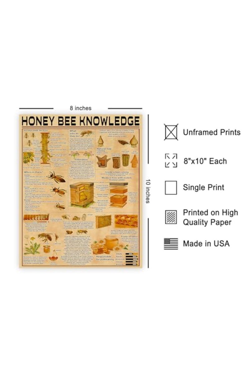 Poster Master Honey Bee Knowledge Poster - Infographic Print - Educational Art - Image 2
