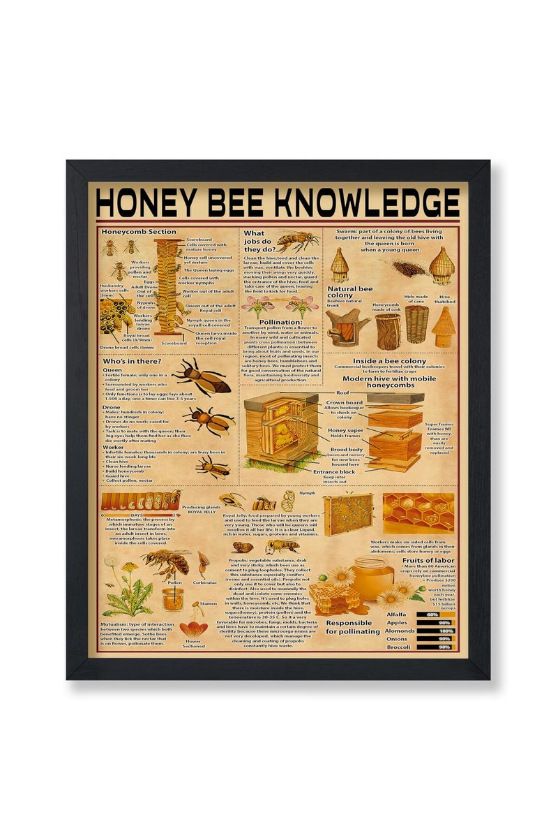 Poster Master Honey Bee Knowledge Poster - Infographic Print - Educational Art - Image 1