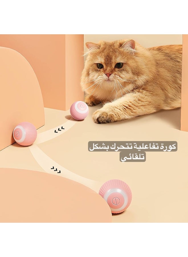 Smart Interactive Cat Ball Toy with Automatic Movement – Rechargeable Built-in Battery – USB Type-C Charging – Exercise and Stimulation Toy for Cats - Image 2