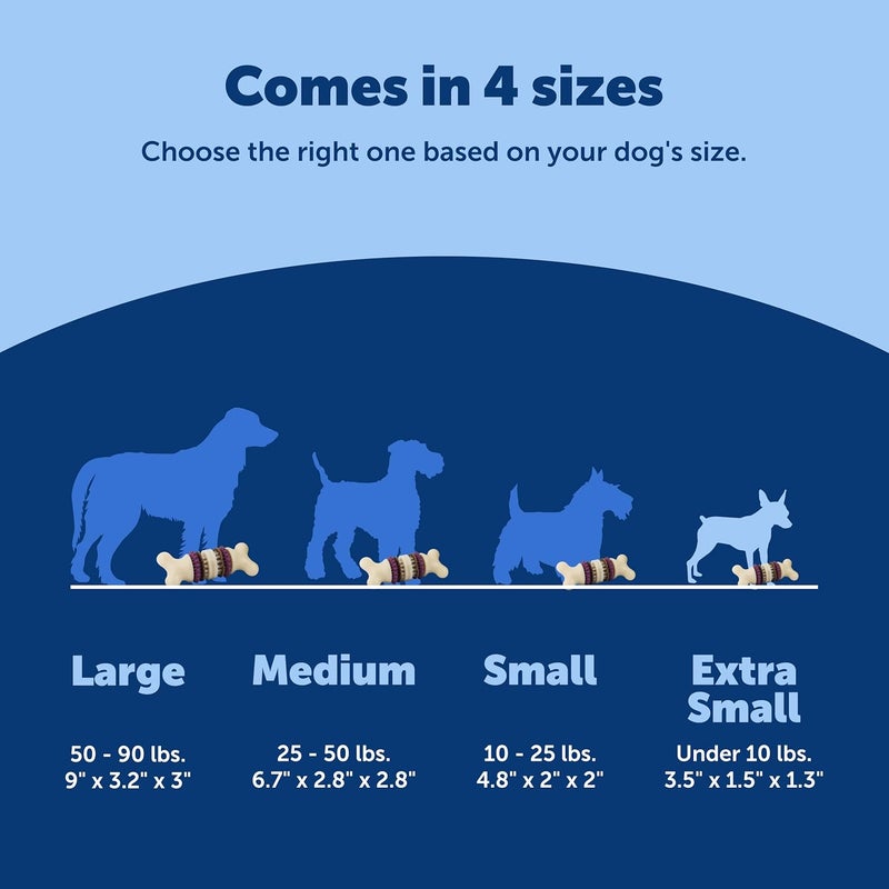 PetSafe Busy Buddy Bristle Bone Dog Toy - Chew Toy with Treat for Small Breeds - Image 5