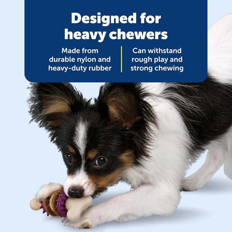 PetSafe Busy Buddy Bristle Bone Dog Toy - Chew Toy with Treat for Small Breeds - Image 4