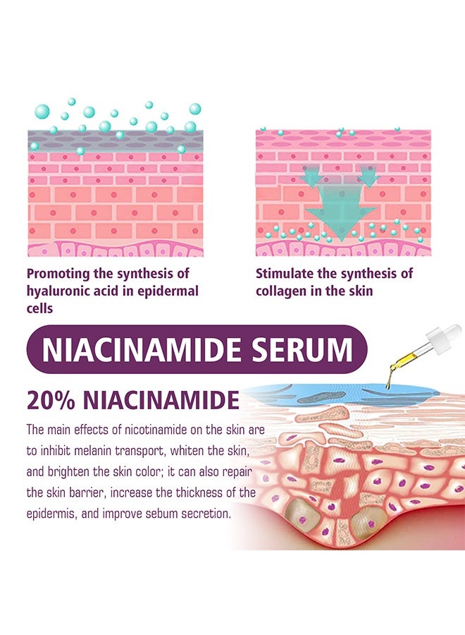 EELHOE Niacinamide 20% Serum，Vitamin B3 Concentrated Serum, 20ml Face Pigment Dark Spot Remover Face Serum, Anti Aging Fragrance Free Face Essence For For Discoloration And Minimizing Large Pores 20ml - Image 5