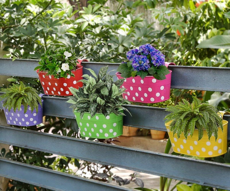 Leafy Tales Muticolor Metal Rust-Free Hanging Planter - Set of 5 (Oval - Red, Green, Yellow, Pink, Purple), 30 cm x 15 cm x 14 cm - Image 4