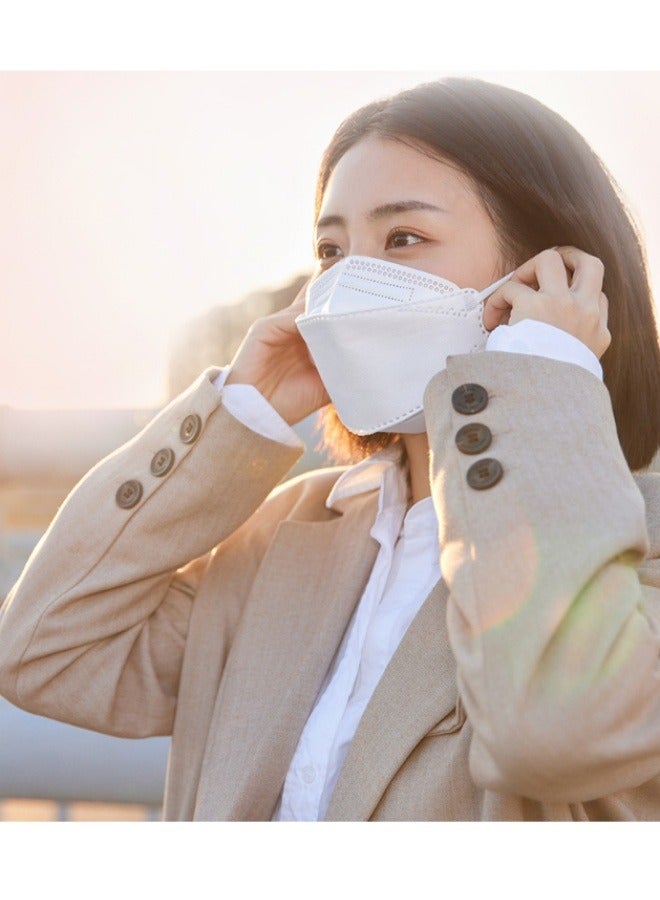Pack Of 10 Pieces N95 Filtering Face Mask - Image 4