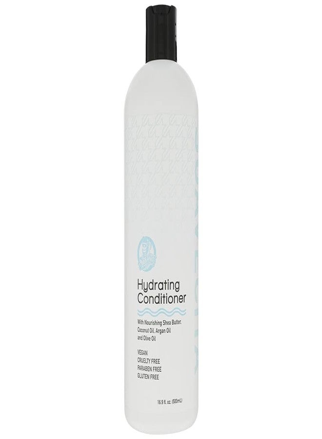 SUAVECITO Suavecita Hydrating Conditioner Nourishing Shea Butter Coconut Oil Argan Oil Vegan Cruelty Free Sulfate, Gluten, & Paraben Free - Image 1