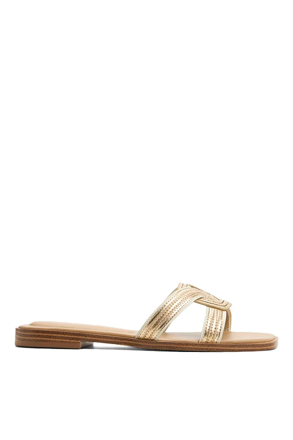 Erok Ladies Multi Color Flat Sandals