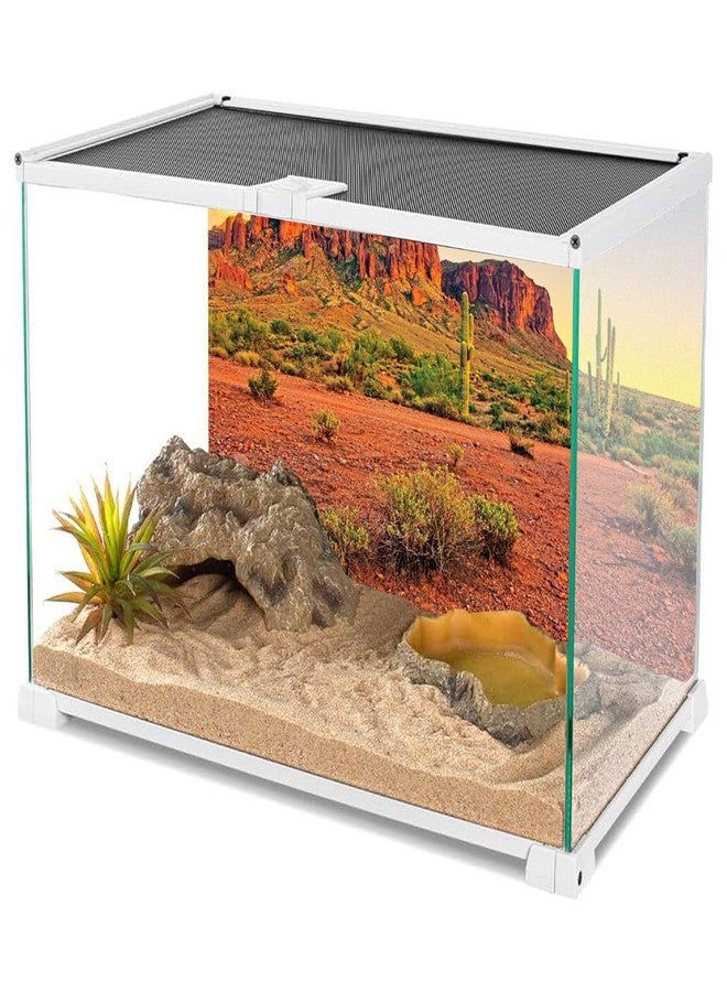 AWERT 36x18 inches Reptile Habitat Background Sky Oasis Mountain Cactus Sun and Desert Terrarium Background Durable Polyester Background - Image 4