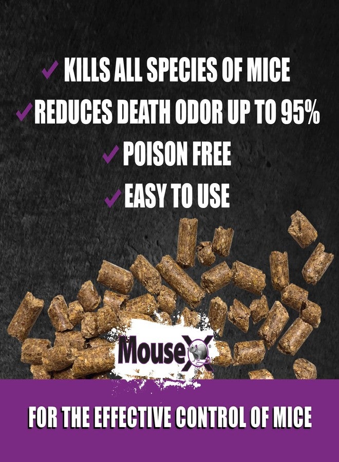 MouseX 620201 Eco Clear Products Humane All-Natural Non-Toxic Mouse Killer Pellets Bag, 1 lb. - Image 4