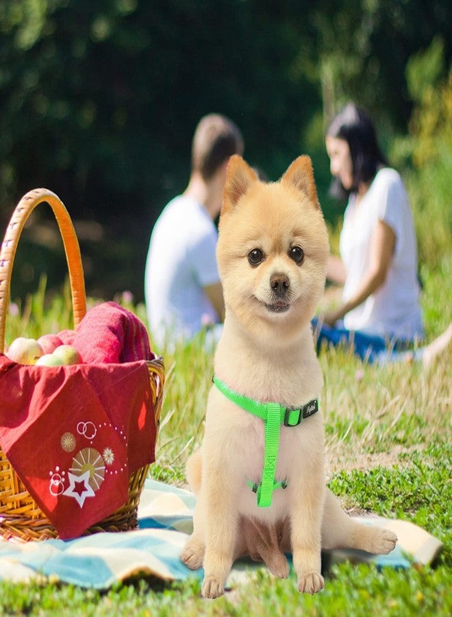 PUPTECK No Pull Dog Harness Soft Adjustable Basic Nylon Step in Puppy Vest Outdoor Walking with ID Tag, Green,S - Image 5