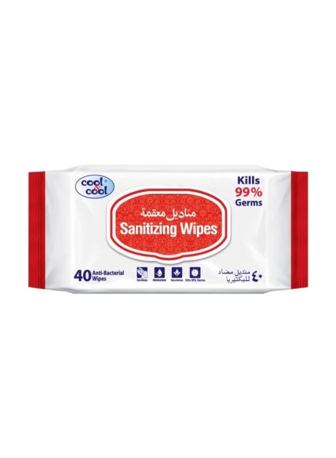 Sanitizing Wipes, 40 wipes, UAE