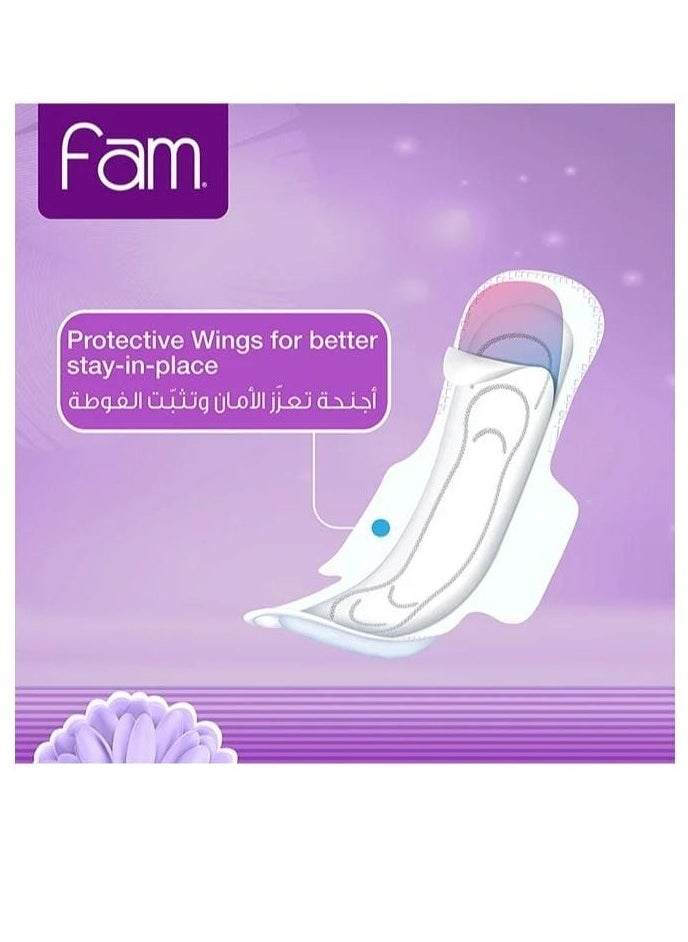 Fam - Natural Cotton Feel Fam Folded With Wings Night Pads 24 Count - Image 1