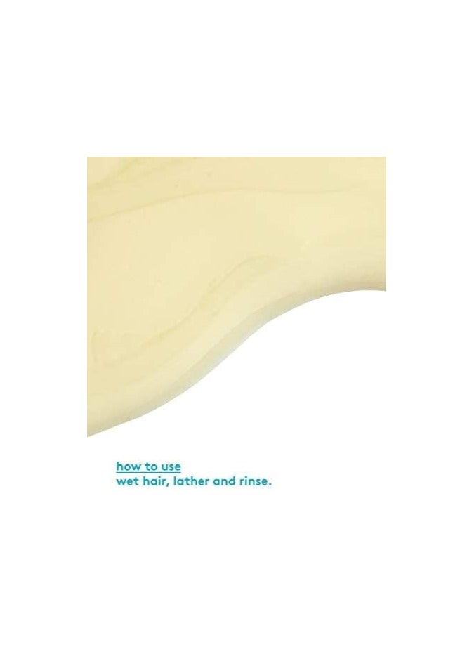 Evo - the therapist shampoo 300ml - Image 4