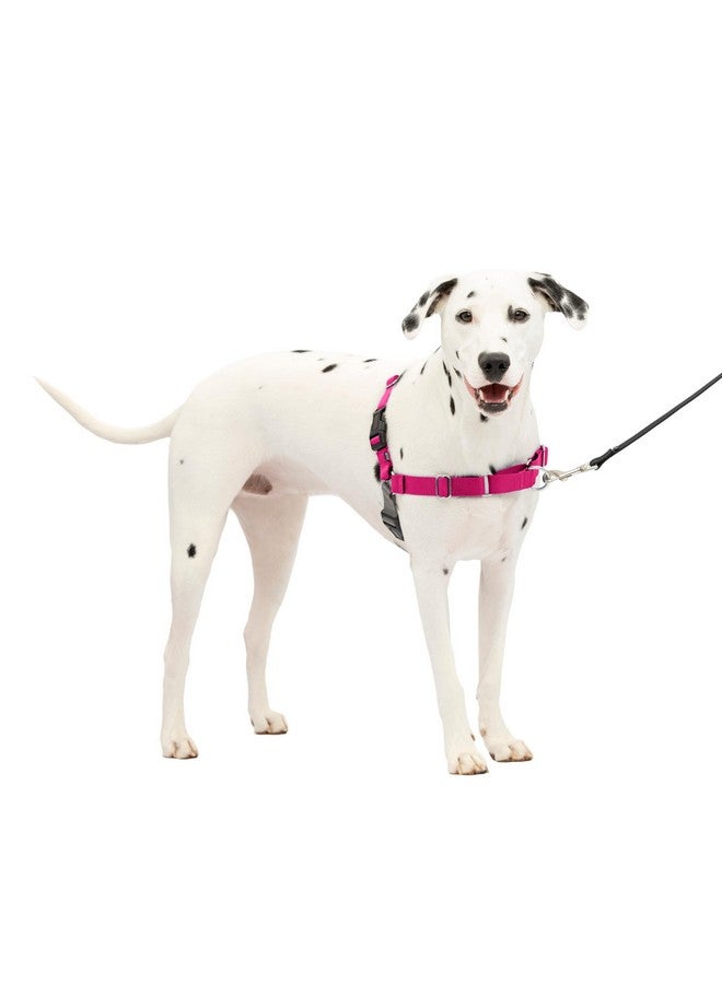 بيت سيف حزام PetSafe Easy Walk No-Pull Dog Harness - الحزام الأمثل للمساعدة في منع سحب الحيوانات الأليفة أثناء المشي - تحكم في المقود وعلّمها آدابًا أفضل - يساعد في منع سحب الحيوانات الأليفة أثناء المشي، متوسط/كبير، توتي/رمادي - Image 1