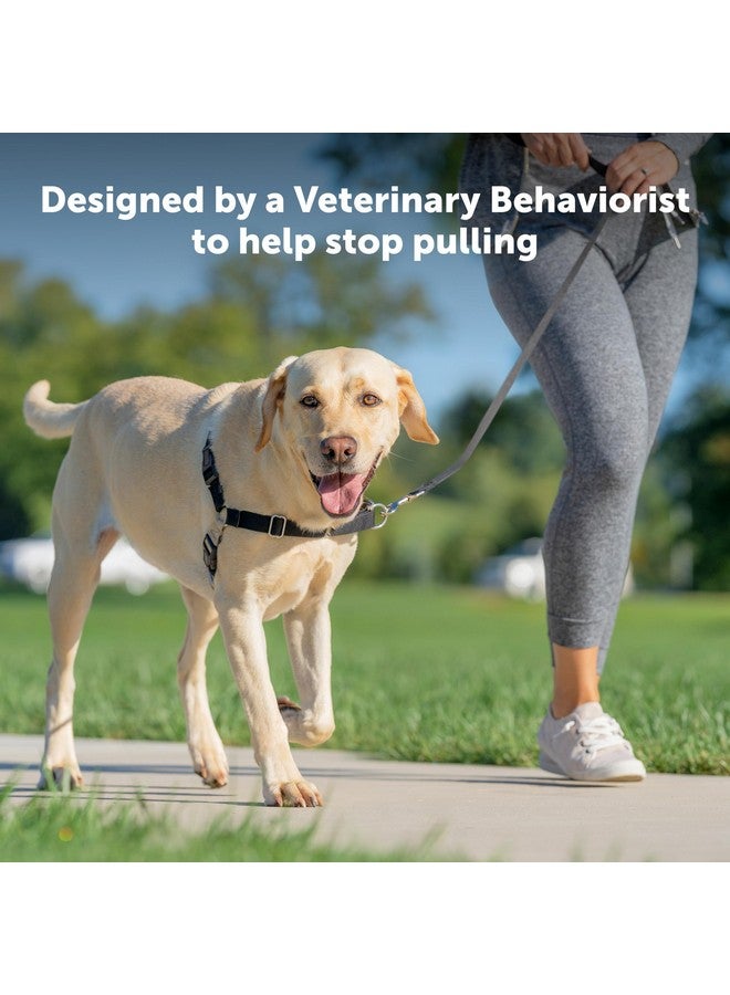 بيت سيف حزام PetSafe Easy Walk No-Pull Dog Harness - الحزام الأمثل للمساعدة في منع سحب الحيوانات الأليفة أثناء المشي - تحكم في المقود وعلّمها آدابًا أفضل - يساعد في منع سحب الحيوانات الأليفة أثناء المشي، متوسط/كبير، توتي/رمادي - Image 2