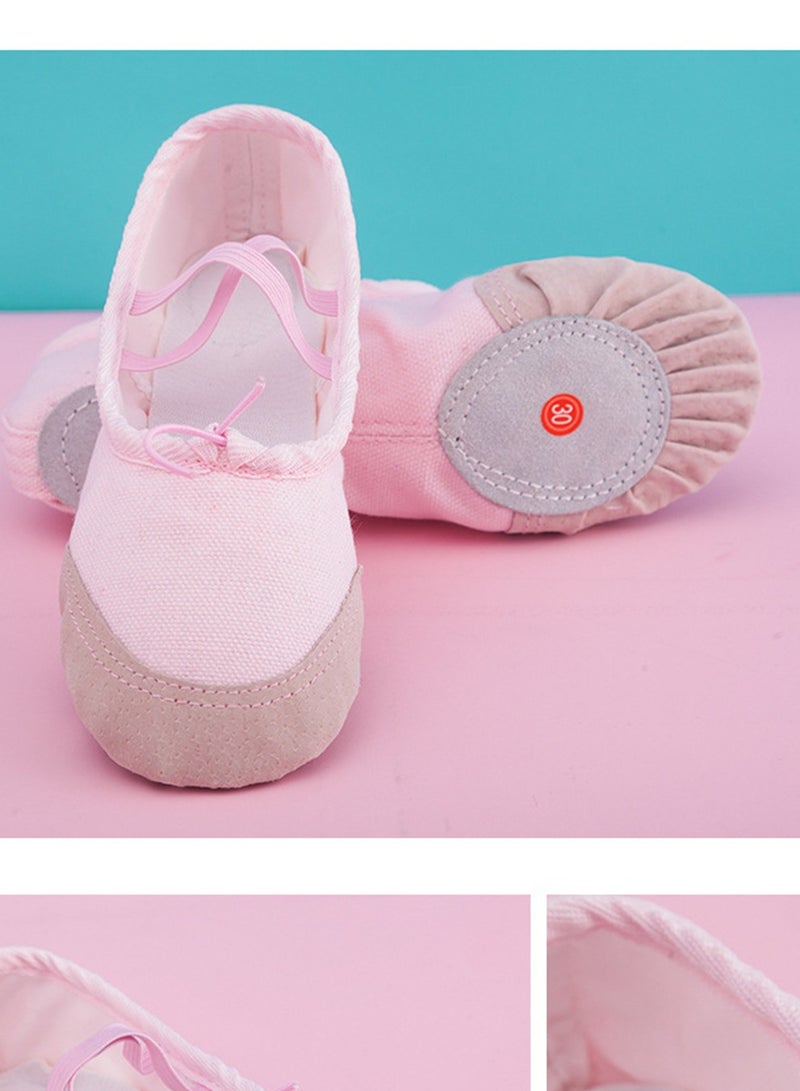 Loquat Dance Shoes Women Soft Sole Ballet Dance Yoga Special Shoes Pink  - Image 1