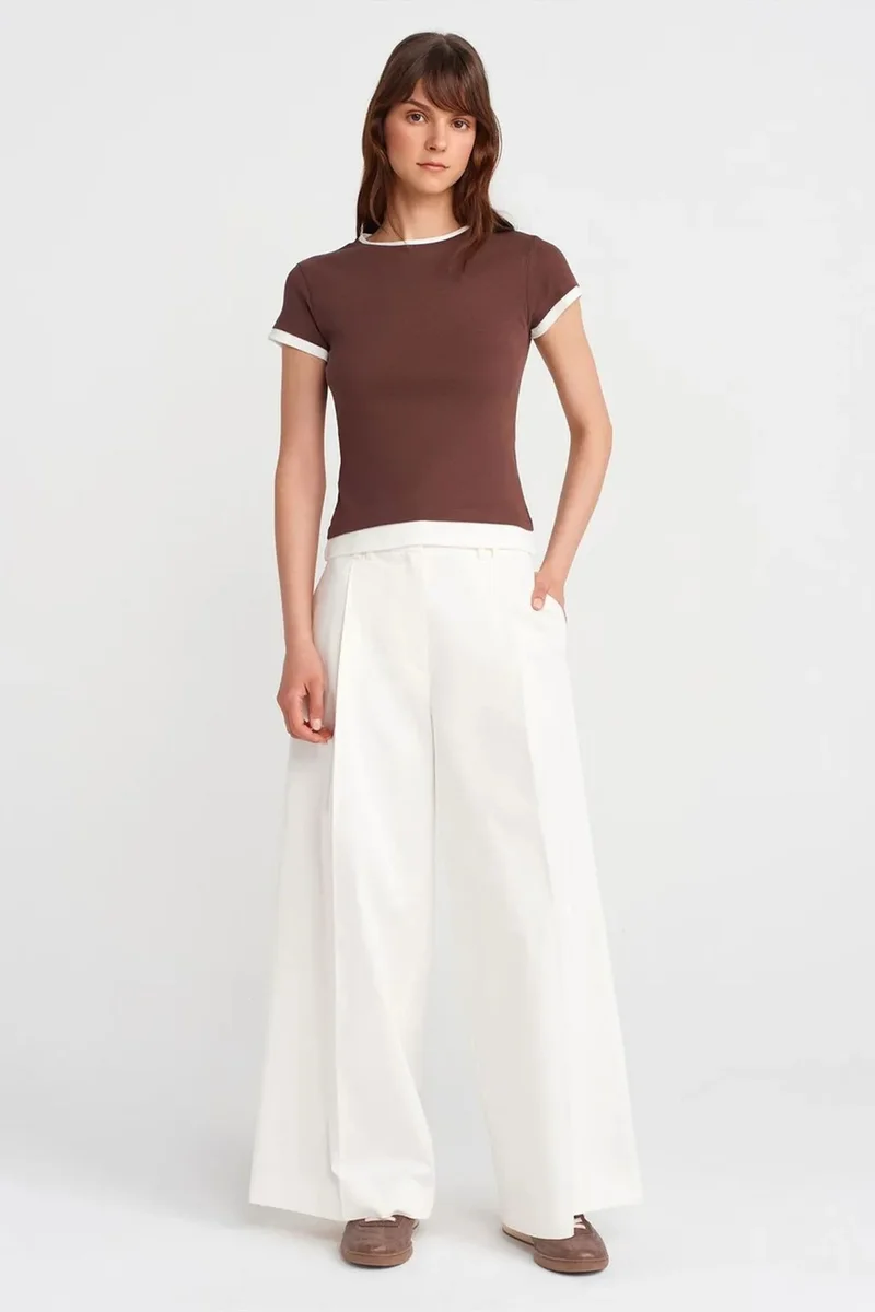 Dilvin Coffee Brown DILVIN Women's Slim Fit Cotton Crew Neck T-Shirt for Women | Best Price UAE