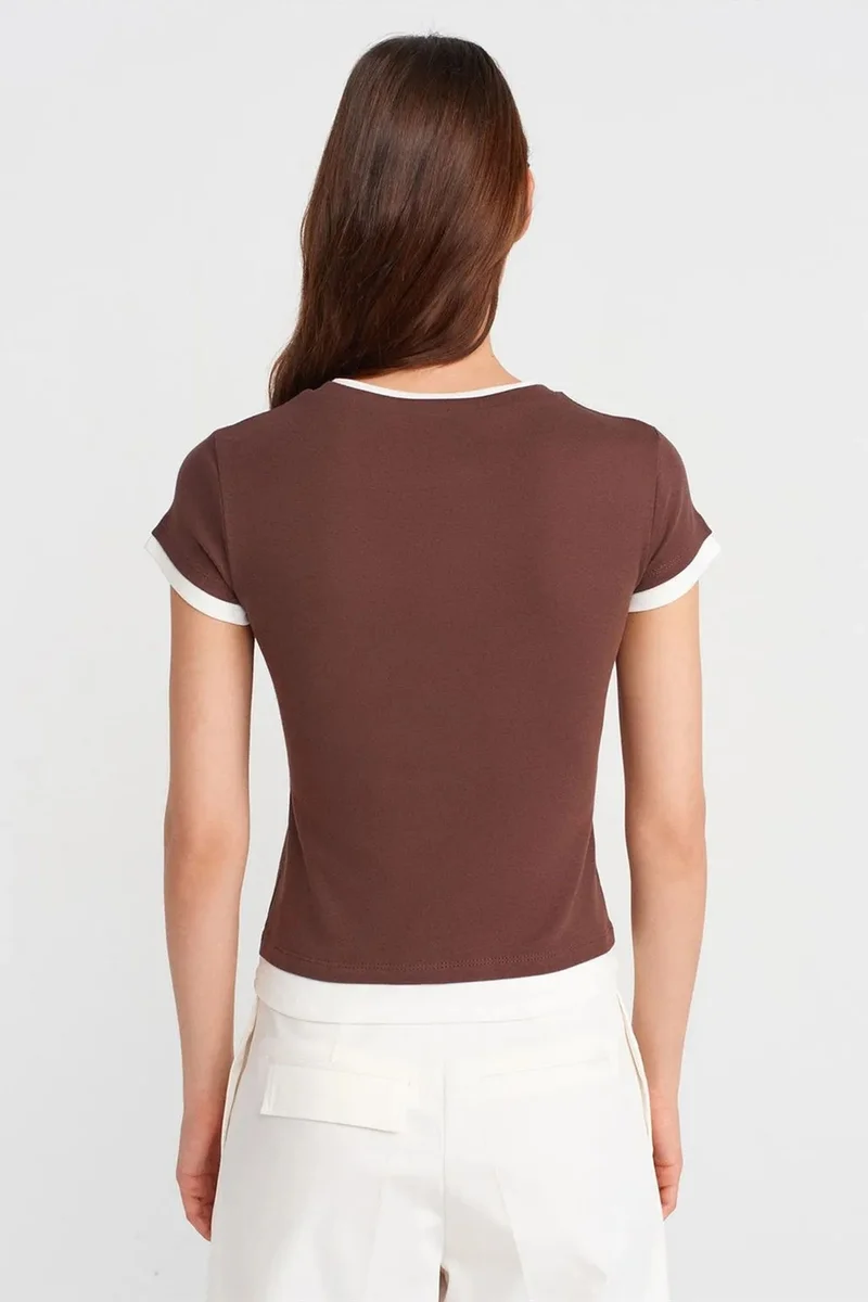 Dilvin Coffee Brown DILVIN Women's Slim Fit Cotton Crew Neck T-Shirt for Women | Best Price UAE