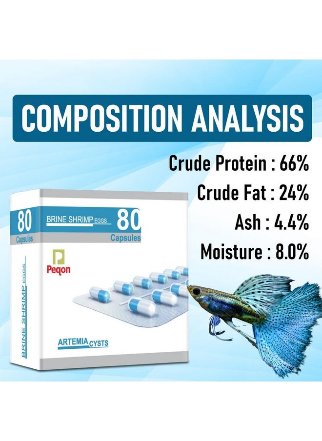 VAYINATO VAYINATO Peqon Artemia Cysts (Brine Shrimp Eggs) - 80 Capsule With 90% Hatching Rate  - Image 4