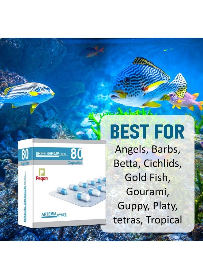 VAYINATO VAYINATO Peqon Artemia Cysts (Brine Shrimp Eggs) - 80 Capsule With 90% Hatching Rate  - Image 5