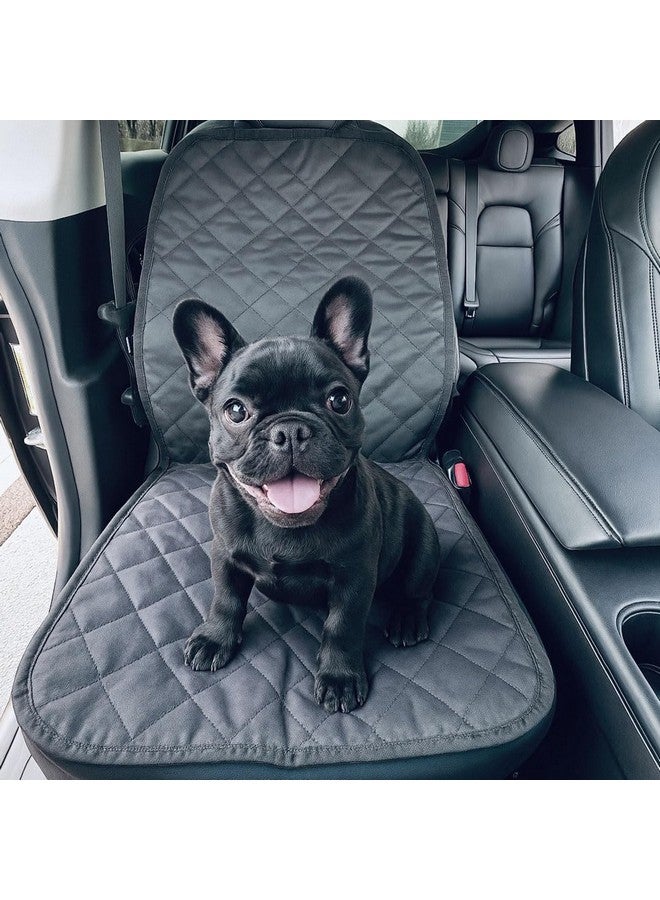 VION Tesla Model 3/Y Passenger Seat Cover/Pet Liner - Image 1