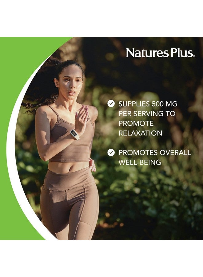 NaturesPlus نيتشرز بلس برو غابا 500 ملغ - 60 كبسولة - غير معدلة وراثيًا، نباتية، خالية من الغلوتين - 60 حصة - Image 3