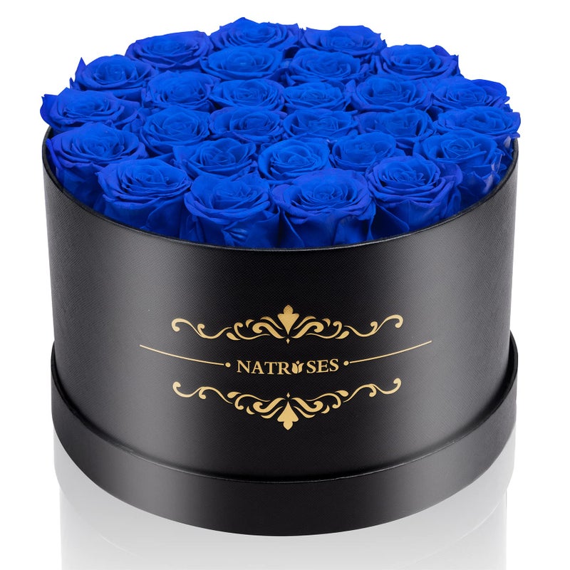 NATROSES 27 Piece Forever Preserved Roses in a Box Preserved Flowers for Delivery Birthday Flowers Gifts for Mothers Day Royal Blue