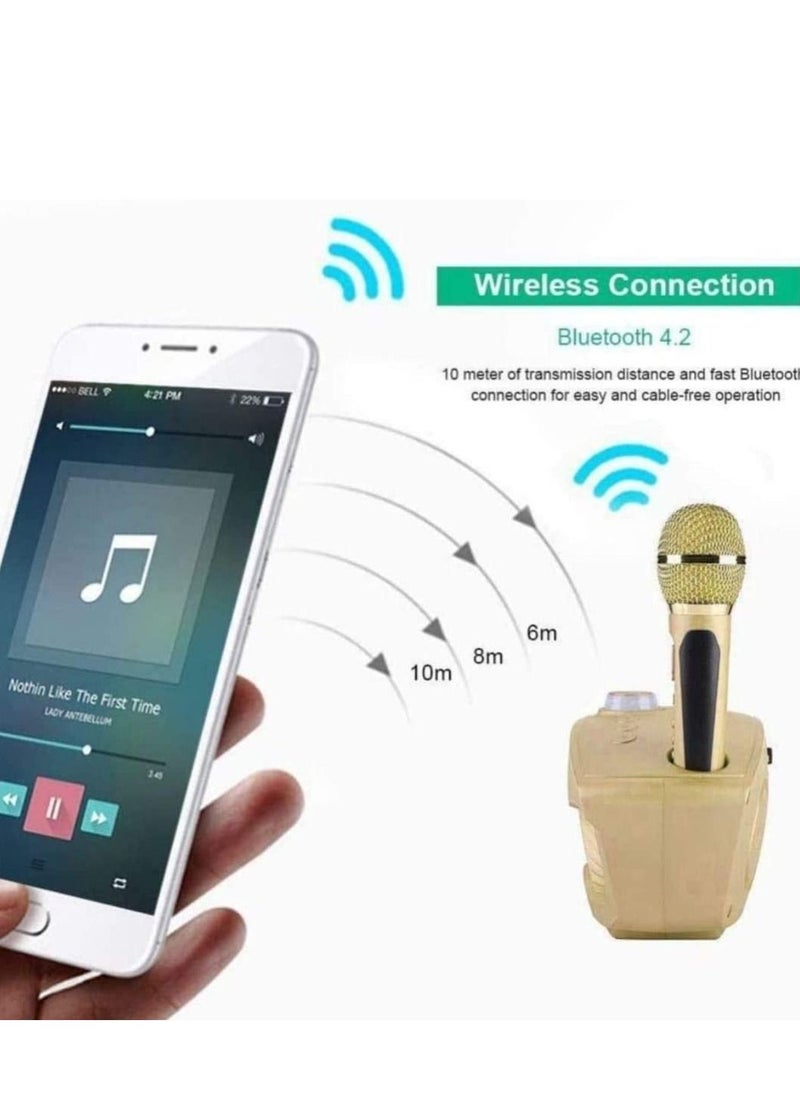 SDRD - The Ultimate Portable Karaoke Machine With 2 Mic - Image 1