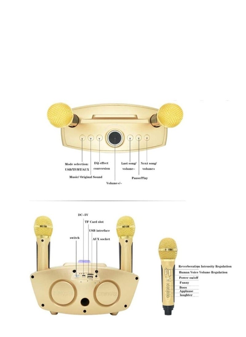SDRD - The Ultimate Portable Karaoke Machine With 2 Mic - Image 1