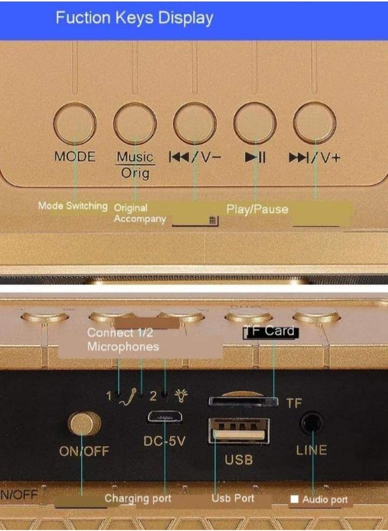 SDRD - The Ultimate Portable Karaoke Machine With 2 Mic - Image 1