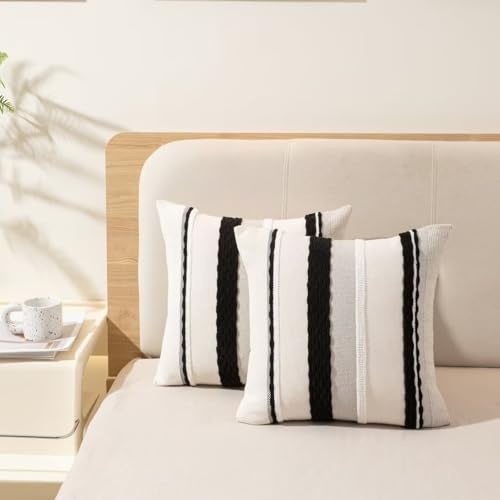 WANLIRD Boho Throw Pillow Covers 18x18 Set of 2 Farmhouse Decorative Cushion Case Striped Square Pillows Cover Chenille Pillow Cases Accent Neutral Pillowcase for Sofa Couch Bed,Black and White - Image 5