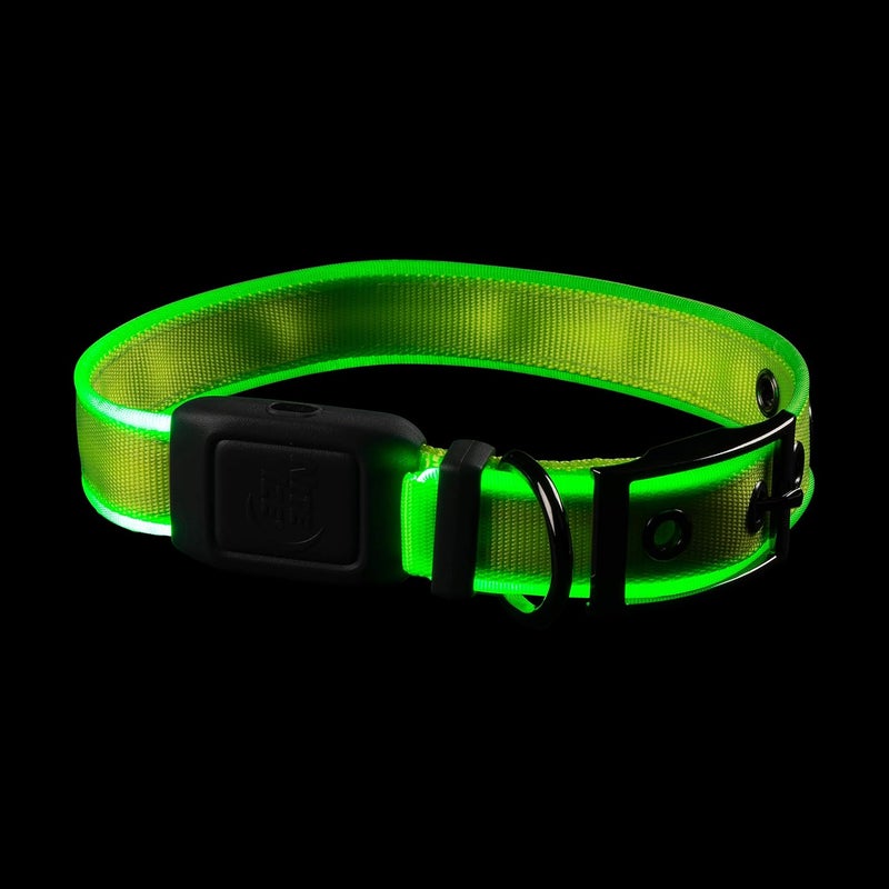 Nite Ize NiteDog Rechargeable LED Dog Collar, USB Light Up Collar with Metal Buckle, Water Resistant, Lime, Medium - Image 4