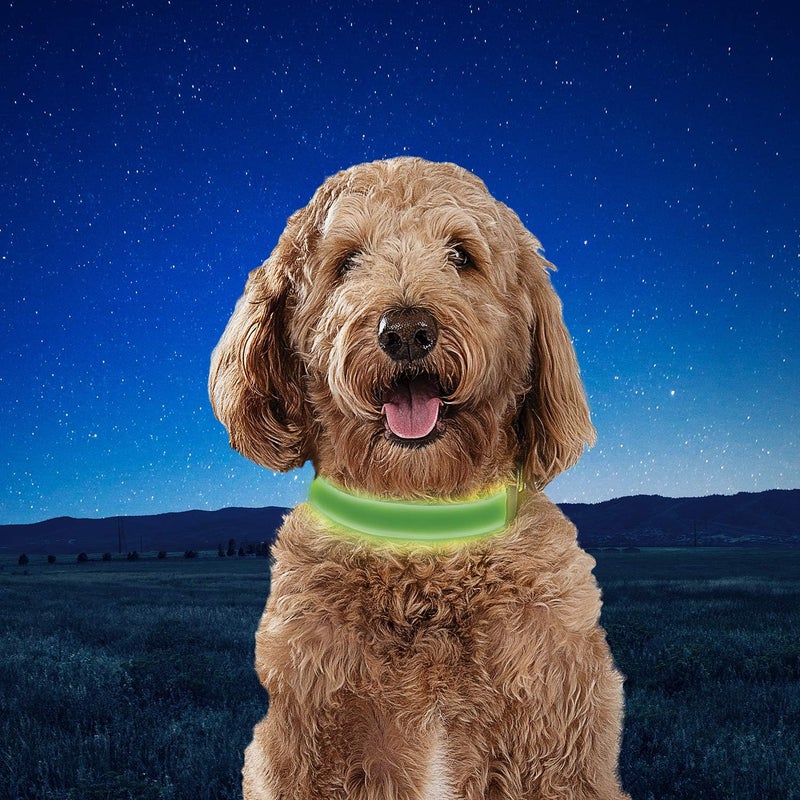 Nite Ize NiteDog Rechargeable LED Dog Collar, USB Light Up Collar with Metal Buckle, Water Resistant, Lime, Medium - Image 5